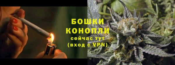 гидра Вяземский