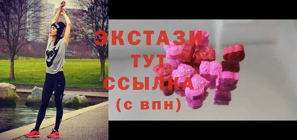дживик Вязьма
