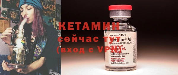 гидра Вяземский