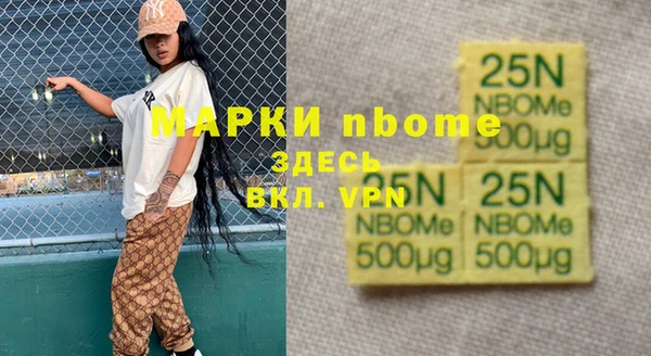 гидра Вяземский