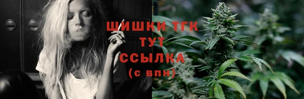 дживик Вязьма