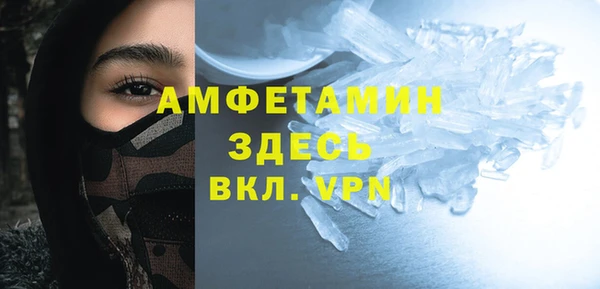 гидра Вяземский