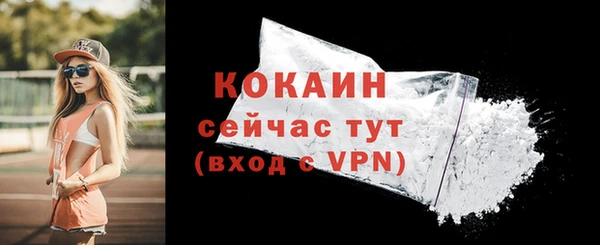 дживик Вязьма