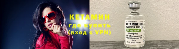 гидра Вяземский