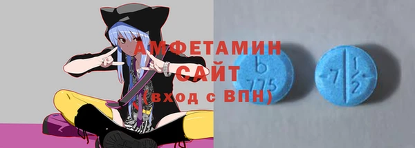 гидра Вяземский