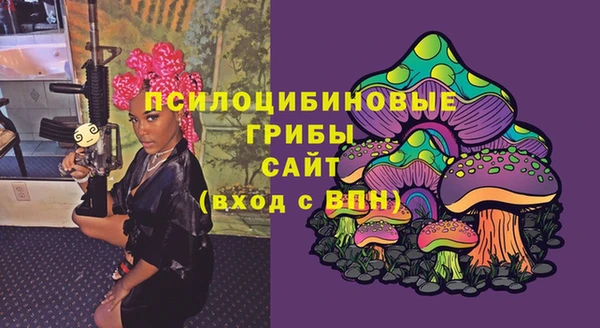 гидра Вяземский