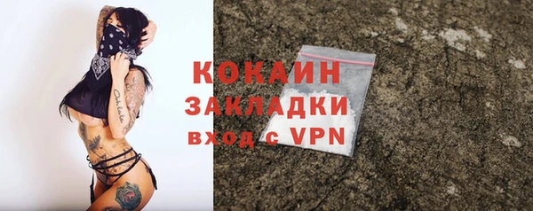 гидра Вяземский
