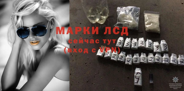 гидра Вяземский