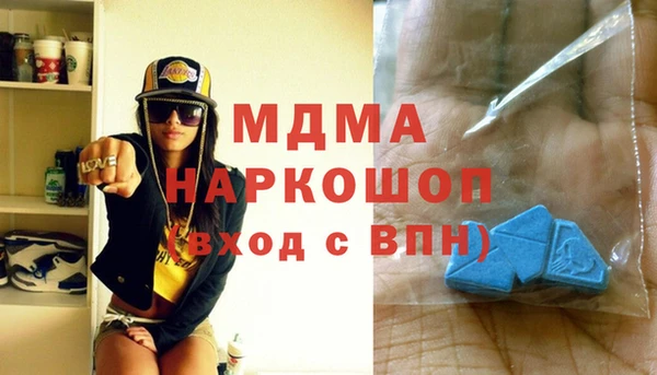 гидра Вяземский