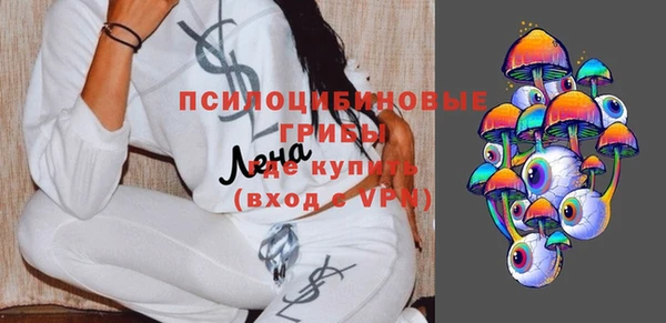 гидра Вяземский