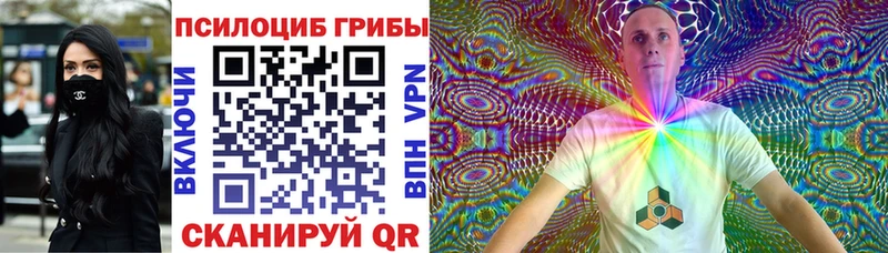 Галлюциногенные грибы Psilocybine cubensis  Купить закладки  Удачный 